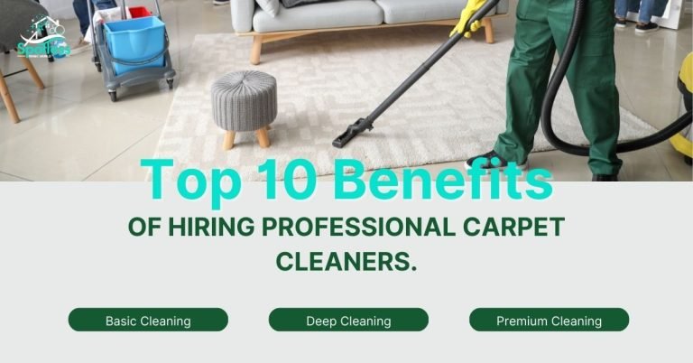 Professional Carpet Cleaner